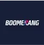 Logo image for boomerang bet